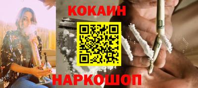 стаф Владимир
