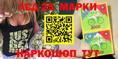 стаф Владимир