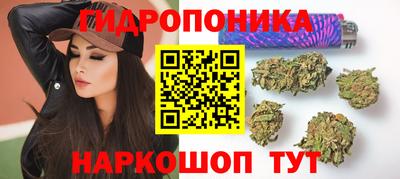 ешки Брянск