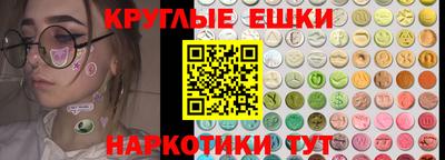 стаф Владимир